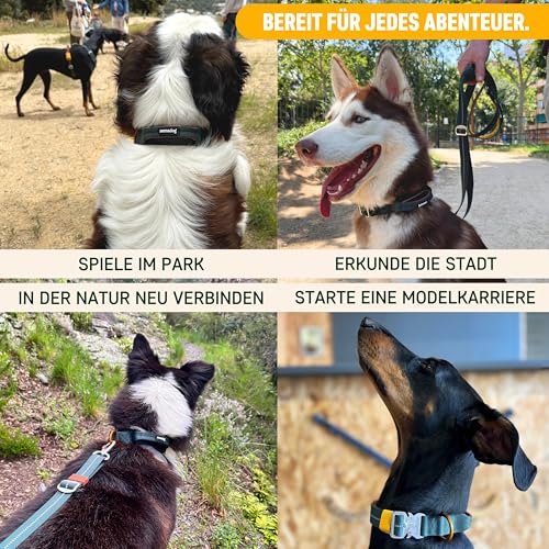 Nomadog Trailblazer Hundehalsband mit Griff für Große Hunde - Premium Aluminium Schnalle, Strapazierfähiges taktisches Halsband, Verstellbar, Gepolstert, Reflektierend (XL)