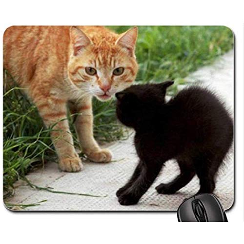 Preisvergleich Produktbild Callanish Standing Stones Mausunterlage Isle of Lewis Scotland, Mousepad (Mausunterlage aus alter Zeit) 30X25CM