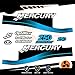 Generico Kit d'autocollants pour moteur Marino Fuoribord Mercury 250 CV - Version Saltwater A