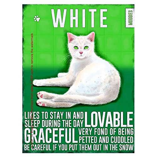 Barra de Pared Blanco de Gato Metal Sign  Placa ágil, te seguirá a Todo, Loves to Play.