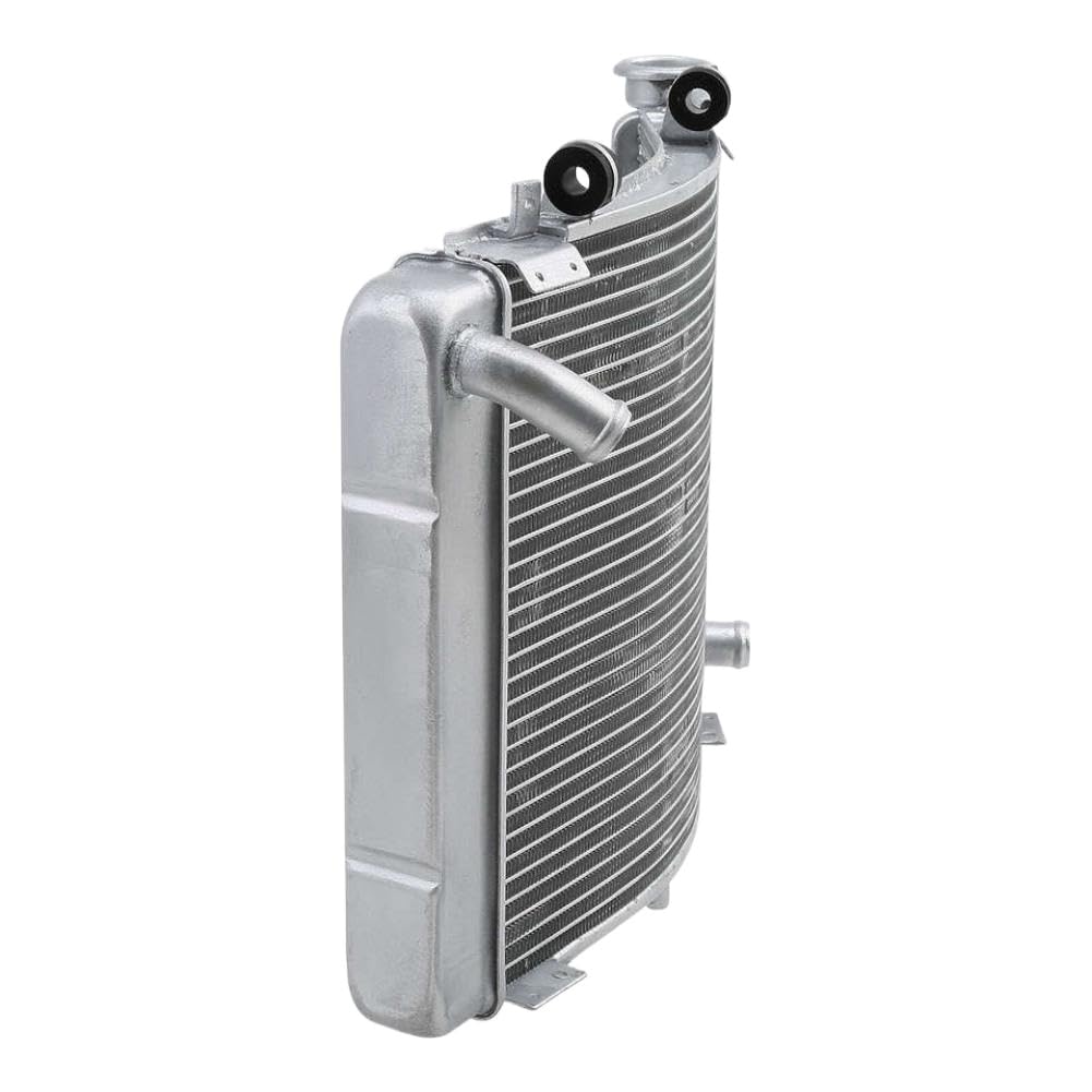 Radiatore di raffreddamento del motore in alluminio compatibile con NSR 250 1991 1992 1993 1994 1995 1996 1997 1998