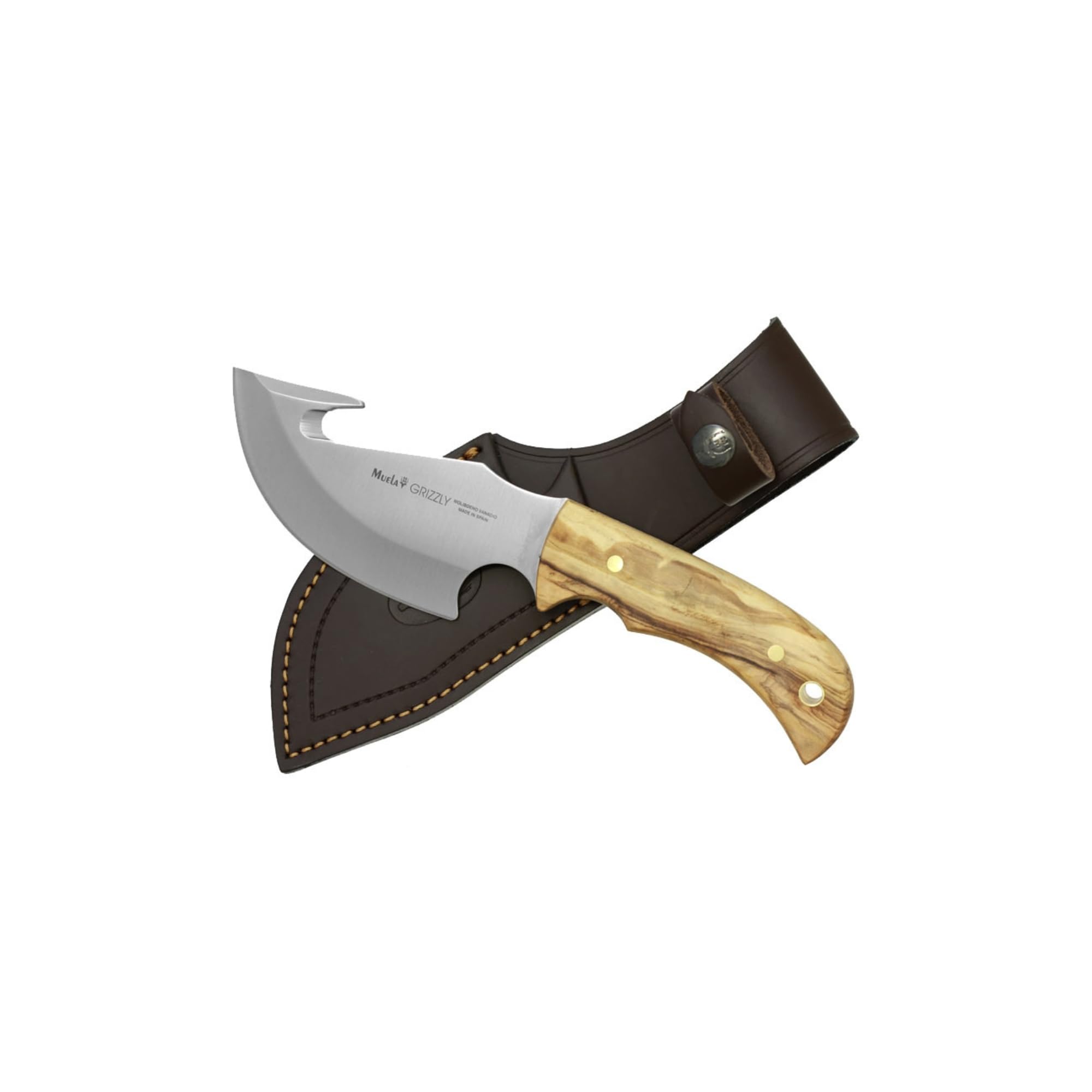 Cuchilleria Deportiva MUELA. Cuchillo desollador Muela GRIZZLY-12.OL. Mango de Olivo. Hoja: 12 cm. Funda de Cuero. Herramienta para Caza