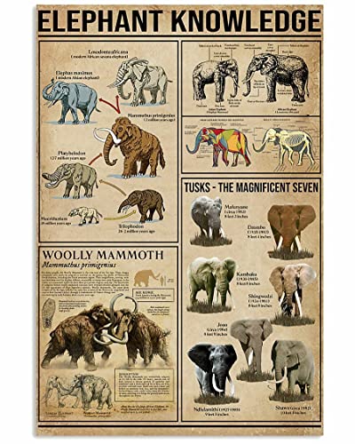 8x12�C���` ���g�� �u���L�Ŕ� �ۂ̒m���|�X�^�[ Knowlegde �Ǒ��� �A�[�g�v�����g �}���`�T�C�Y �F�l�p �ǃp�l�� ���g���A�[�g���� ���� �Q�� �o�[ �J�t�F �t�@�[���p