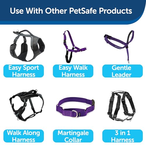 Image of PetSafe Nylon Dog Leash - Strong, Durable, Traditional Style Leash with Easy to Use Bolt Snap - 1 in. x 6 ft., Deep Purple | Durable Nylon Leash with Easy on /off Bolt Snap Hook, Pairs Perfectly with Easy Walk Harness and Gentle Leader Headcollar