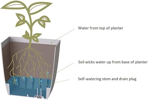 Miniatura 5 de The HC Companies Aria - Maceta cuadrada de riego automático de 8 pulgadas, maceta de plástico para plantas de interior y exterior, flores, hierbas,