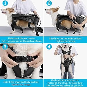 PetBonus Pet Front Dog Carrier Backpacks, Adjustable Dog Backpack Carrier, Legs Out Easy-fit Dog Chest Carrier for Medium Small Dogs, Hands Free Dog Front Carrier for Hiking, Cycling (Black, S) PetBonus Pet Front Dog Carrier Backpacks Adjustable Dog Backpack Carrier Legs Out Easy fit Dog Chest Carrier for Medium Small Dogs Hands Free Dog Front Carrier for Hiking Cycling Black S