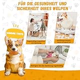 SUNFATT Hundespielzeug kleine Hunde,10 Stück Welpenspielzeug für kleine Hunde,Quietschspielzeug und Kauspielzeug Hundespielzeug Set,Waschbares Natürlicher Baumwolle & Ungiftig