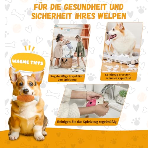 SUNFATT Hundespielzeug kleine Hunde,10 Stück Welpenspielzeug für kleine Hunde,Quietschspielzeug und Kauspielzeug Hundespielzeug Set,Waschbares Natürlicher Baumwolle & Ungiftig