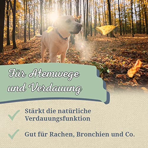 Krauterie Majoran Hund, Einzelfuttermittel für Hunde (100 g), Majoran Geschnitten in Spitzenqualität