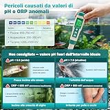 Cheffery B0GC5GLQSP lato 4