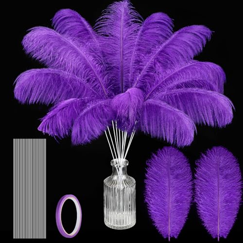 Lyrow 12 Set Ostrich Feathers Bulk Plumes 10-12Inch(25-30cm) Include 12 Pcs Natural Feathers for Vase 12 Iron Wire and Tape for DIY Crafts Wedding Masquerade Party Centerpiece Decoration(Purple)