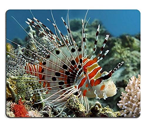 マウスパッドゲームマウスパッド自然ゴムマウスマットSpotfin lionfish Pterois antennata