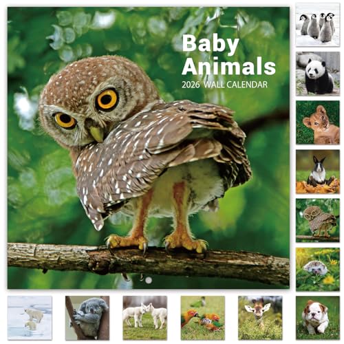 2026 Calendar - 12 Month Baby Animals Wall Calendar 2026 from January 2026 - December 2026