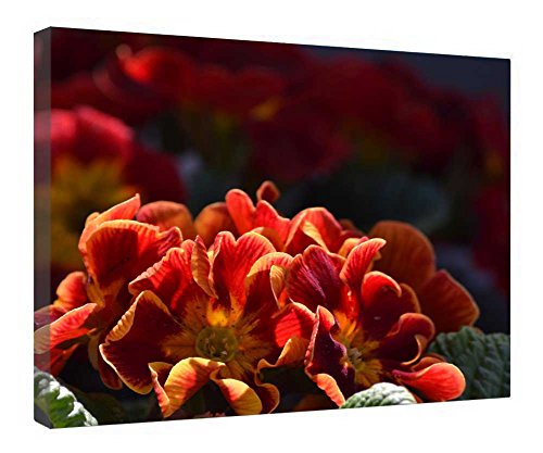 Impression sur toile de qualité premium fleur orange et châssis bois