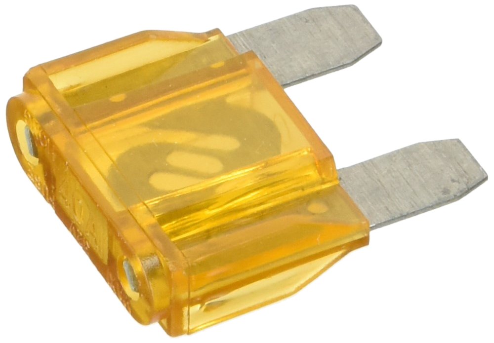 maxi fuse lamellar 40th