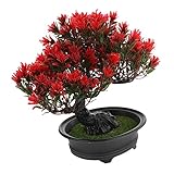 Faux bonsaï - n'a pas besoin d'être cultivé manuellement, donc l'arrosage, la taille et tout autre entretien peuvent être omis.