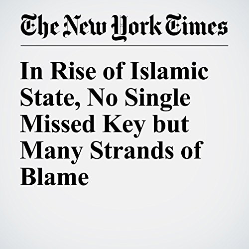 In Rise of Islamic State, No Single Missed Key but Many Strands of Blame cover art