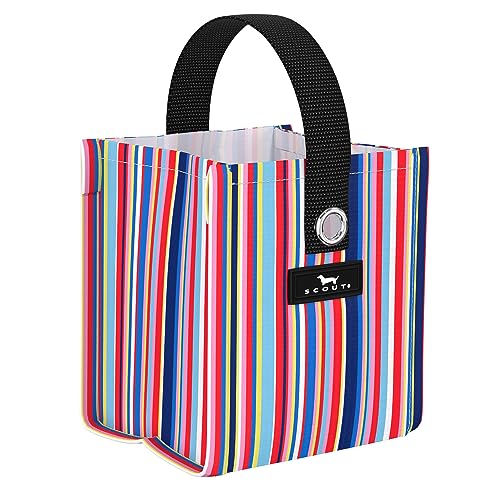 SCOUT Mini Package Gift Bag, Small Reusable Bag Measuring 5.75
