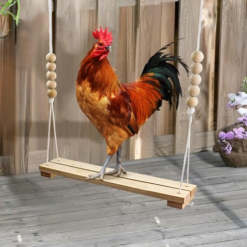 Galinheiro de - Brinquedos Seguros De Natural Para Pintinhos,Acessórios Para Avicultura Comedouro Po