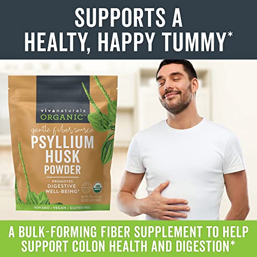 Top 10 Psyllium Fiber Supplements & Pills Reviews