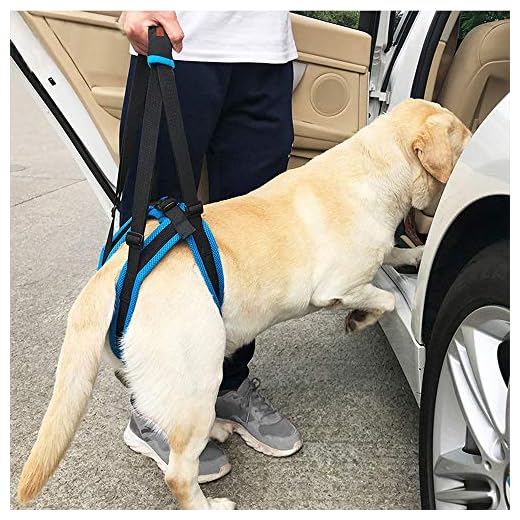 KOBWA - Arnés de Apoyo para Levantamiento de Pesas para Perros, para Ayudar a la Cadera, Estabilidad lesionada, Artritis ACL, Dolor de articulaciones (Tamaño L)