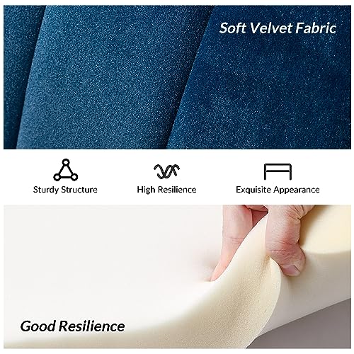Image of HULALA HOME Modern Velvet Loveseat Sofa with Flower Shaped Back, Comfy Upholstered 2-Seater Sofa with Gold Metal Legs, Small Love Seat Accent Couch for Living Bedroom Leisure Areas, Navy