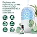 GuruNanda Eucalyptus Essential Oil -100% Pure, Natural and Undiluted Aromatherapy Oil for Diffusers - Enhances Your Breathing Space- Perfect for Massages (0.5 Fl Oz)