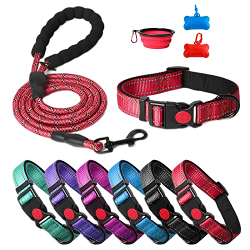 Exploring the Main Types of Dog Collars and Their Unique Uses