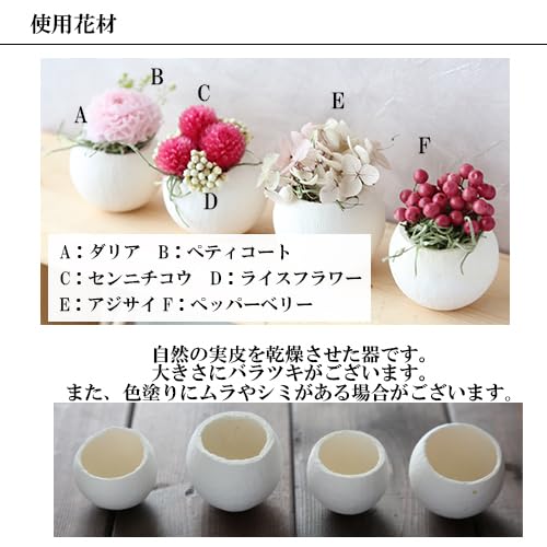 Amazon｜My Teeat プチカッ プ プリザーブドフラワー 花雑貨