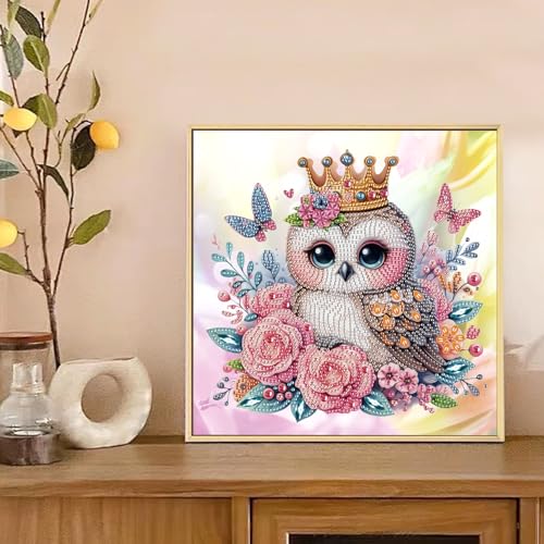 Image of AiYuanzsh Diamond Art Kits for Adults, 5D Special Shape Owl Diamond Painting, Crystal Rhinestones Diamond Art Kits for Beginners, DIY Animal Diamond Art for Home Wall Decoration Gift, 12x12 Inch