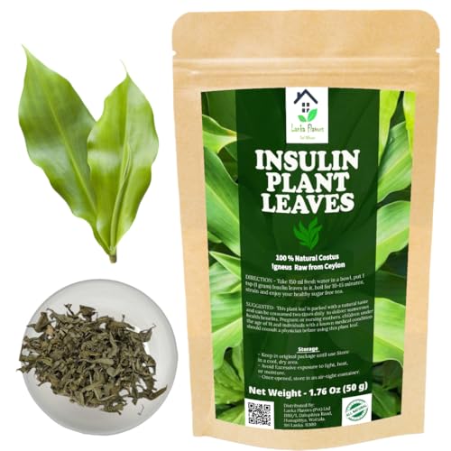 Lanka Flavors Feel Different Dried Insulin Plant Leaves 1.76 oz (50g) Natural Costus Igneus Herbal Tea