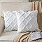 Neelvin Plush Throw Pillow Covers - 2 Pack Soft Wool Velvet Decorative Cushion Cases For Sofa & Bed