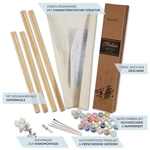 MARPL Malen nach Zahlen mit Rahmen - Motiv Löwe Bunt 40x50cm - Painting by Numbers mit Leinwand, Pinsel, Acrylfarben und… – Bild 6