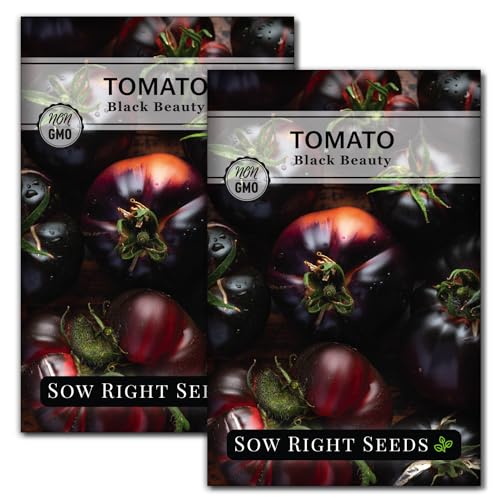 Sow Right Seeds - Black Beauty Tomato Seeds for Planting - Non-GMO Heirloom Packet with Instructions to Plant an Outdoor Home Vegetable Garden - Rare Deep Purple Slicing Variety - Sweet Flavor (2)