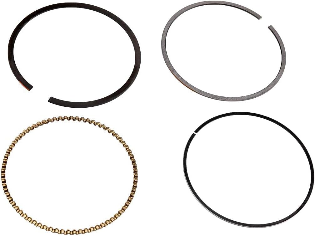 12522848 Engine Piston Ring Kit