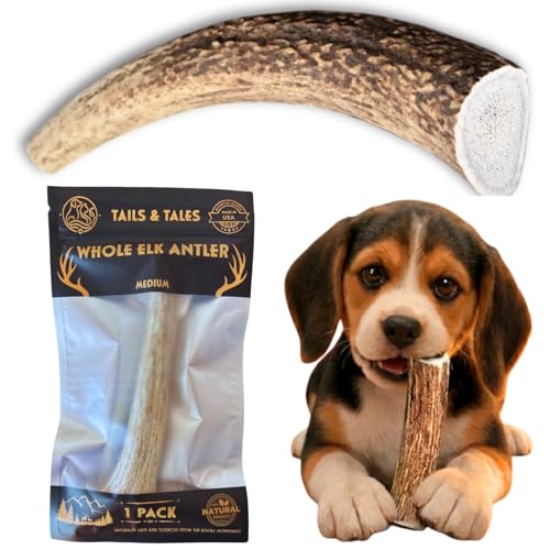 Image of Medium Whole Elk Antler for Dogs, 5-7 inch Dog Bones for Aggressive Chewers
