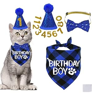 STMK Cat Birthday Decorations, Cat Birthday Hat with Number Bandana Bow Tie Collar for Cats Kittens Apparel Birthday Outfits
