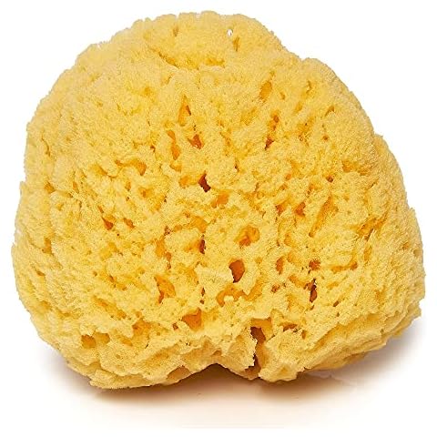 Paradise Goods Natural Sea Sponge Cover