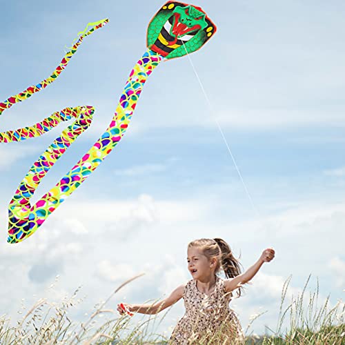 NUOBESTY Pipa de cobra grande para adultos e crianças meninos grandes potentes, pipa esportiva diver