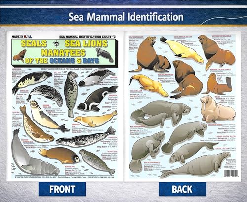 Image of Sea Mammal Identification Set (Whales, Dolphins, Porpoises, Seals, Sea Lions, Manatees) - Waterproof Quick Reference Guide | Portable & Built to Last | Double-Sided & Easy to Read | Portable Reference Cards, (Whales, Dolphins, Sea Lions, Seals, Manatees), Double-Sided, Perfect Boating Gift for Beginners