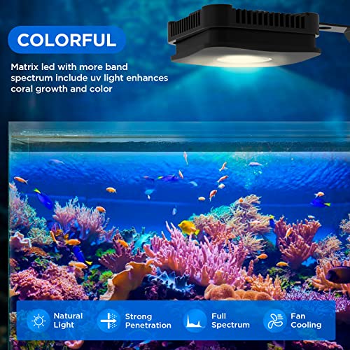Image of Lominie LED Aquarium Light Saltwater Aquarium Lamp 30W Full Spectrum with Remote Dimmable Nano Coral Reef Light for Fish Tank with Bracket