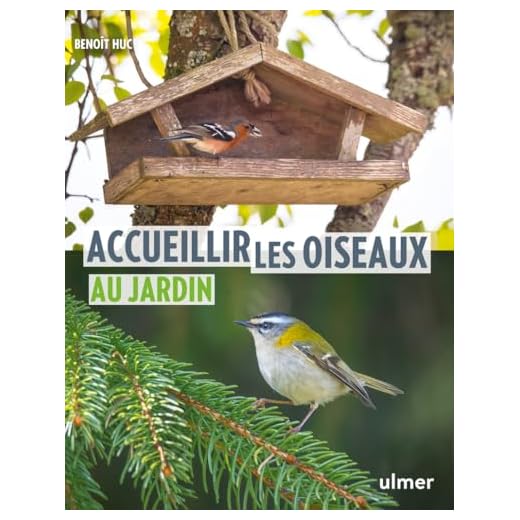 Accueillir les oiseaux au jardin