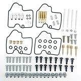 Sets enthalten alle notwendigen Komponenten für die Reparatur eines Vergasers.