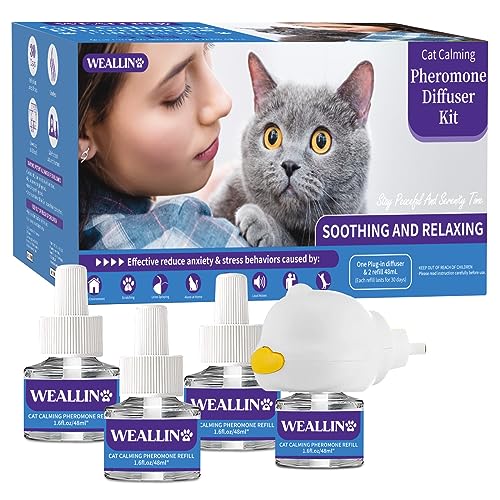 Feliway Products at PetSmart: Top 10 must-haves for your cat's ...