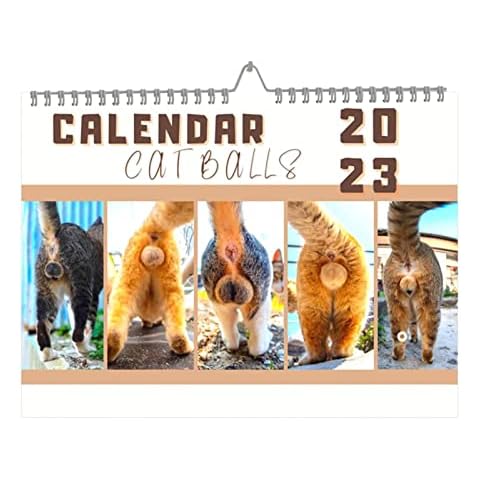 Dificato Cat Butthole Calendar 2023, Funny Calendar 2023, 12 Month Cat Balls Calendar with Room for Notes, Funny Cats Calendar Gift for Cat Lover Cover