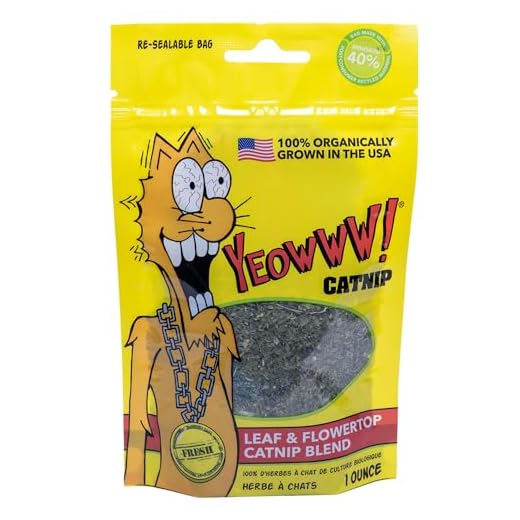 YEOWWW - Bolsa de Menta gatuna (Catnip), 28,3 g