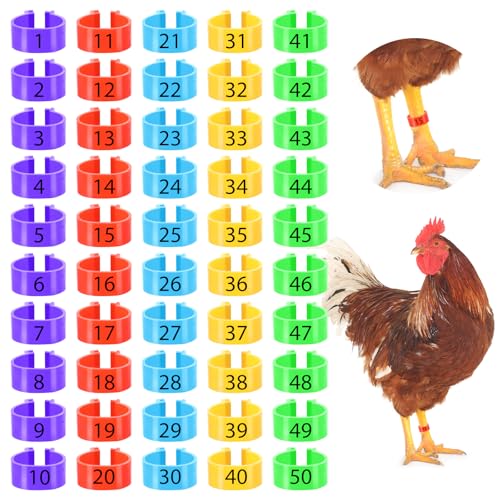 Wanmu 50 peças de faixas de perna de frango, 17 mm, 5 cores, 1-50 etiquetas de identificação numerad