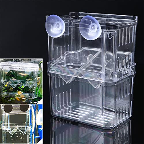Boîtes d'écloserie pour poissons et ponte double pour bac transparent - 5