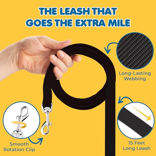 Sungrow Pet Training Leash, Heavy-Duty Polypropylene Walking Leash, 360-Degree Swivel Hook, Dog/Puppy Obedience thumb #4