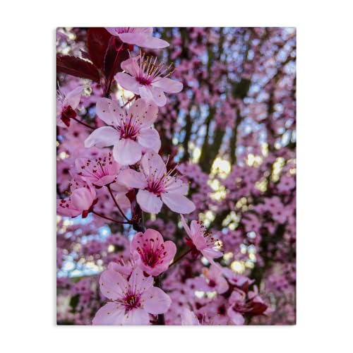 Spring Cherry Blossom Floral, 16 x 20 Inch Canvas Wall Art